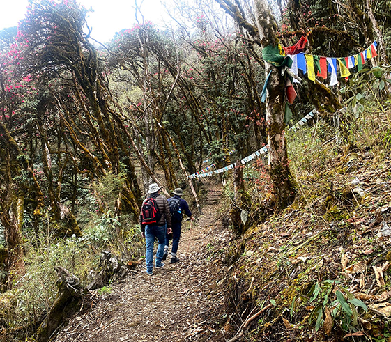 Trek towards Chamgang (2600m/8,580ft)