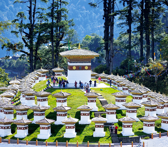 Excursion to Dochula Pass (3,100m/10,000ft)