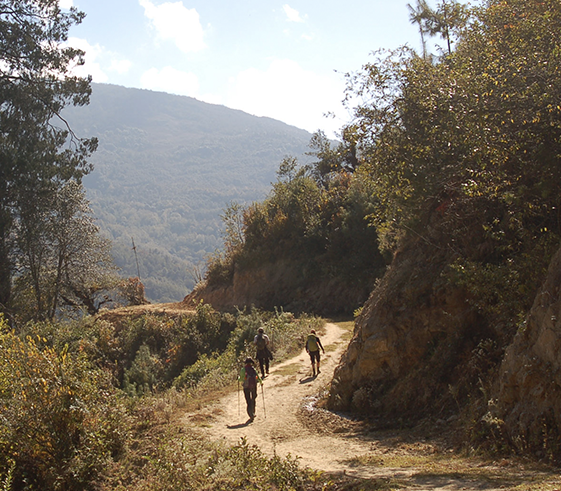 Trek to Bemji (2,515m/8,300ft)