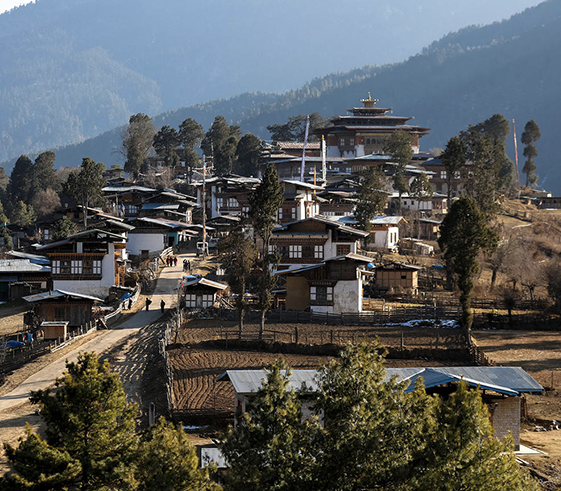 Explore Gangtey Valley