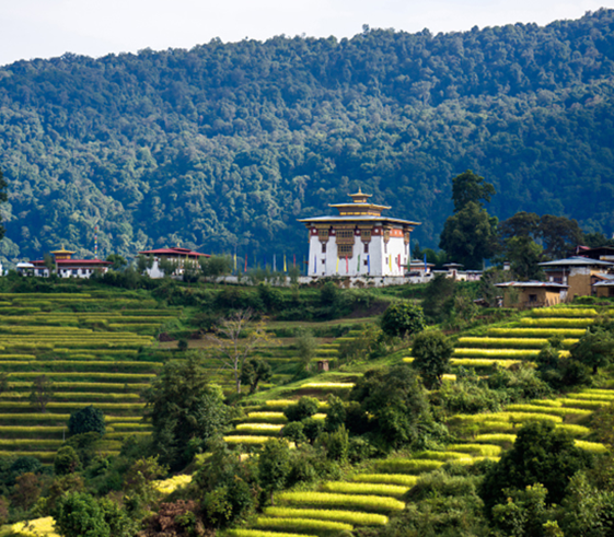 Drive to Chorten Ngingpo and Trek to Dupshipang (2,440m/7,390ft)