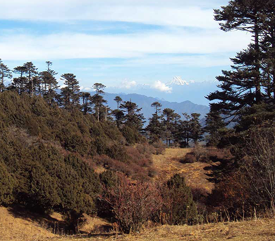 Trek over Sinchu La and camp at Thadana (3450m/11,385ft)