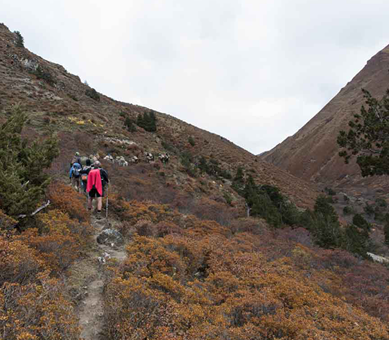 Trek to Tsokam (3200m/10,560ft)