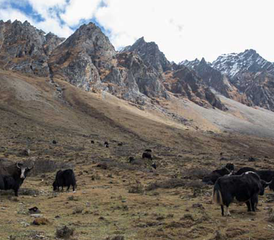 Trek to Lhaba Chung (4300m/14,190ft)