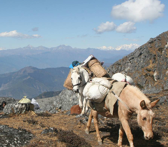 Trek to Labatama (4,174m/13,775ft)