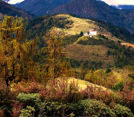 Commence Trek to Jangchulakha (3,770m/12,440ft)